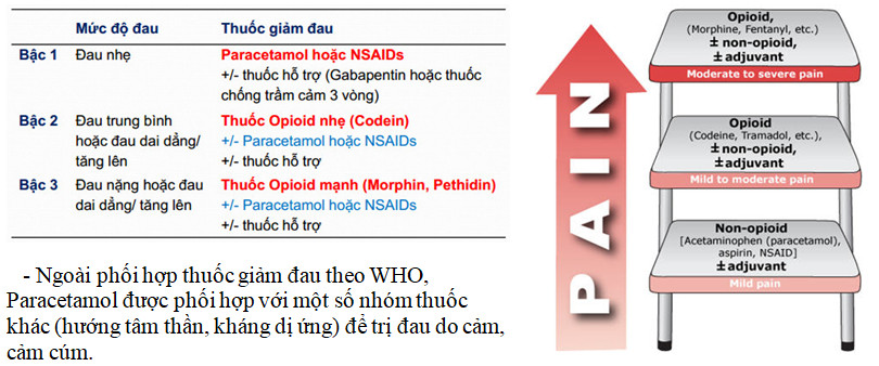 thang giảm đau ba bậc của Tổ chức y tế thế giới